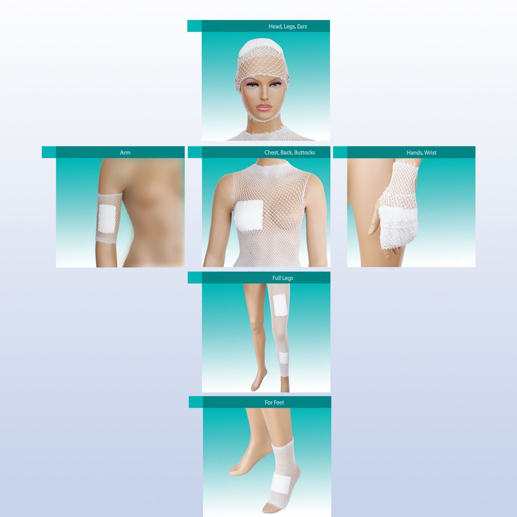 File Bandajı Setanet